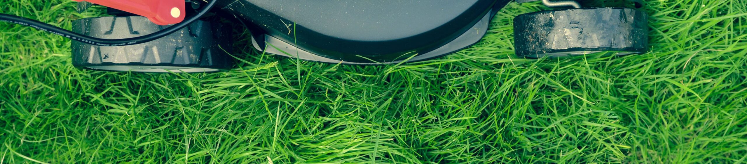 Mowing Lawn 2